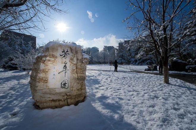 长聘教授 超百万年薪丨“双一流”名校重点学院诚聘英才！(图5)