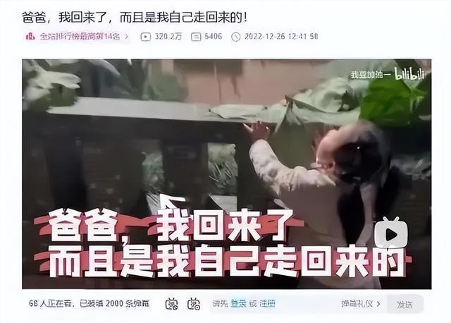 首次!被邀上春晚!脑瘫女孩豆豆、影老板、田鼠大婶他们才是闪闪发亮的明星(图7) 首次!被邀上春晚!脑瘫女孩豆豆、影老板、田鼠大婶他们才是闪闪发亮的明星(图7)