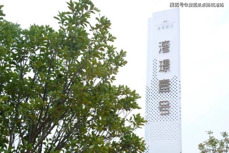 广州中建弘阳德信湾璟壹号(售楼处)首页网站售楼中心处欢迎您-楼盘详情(图4)