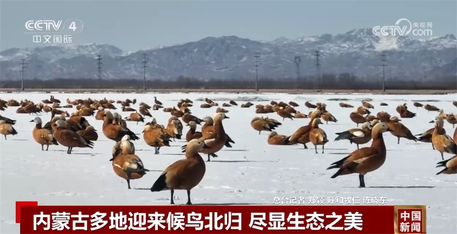 有力度、有速度、有温度 多领域释放稳中向好发展积极信号(图12) 有力度、有速度、有温度 多领域释放稳中向好发展积极信号(图12)