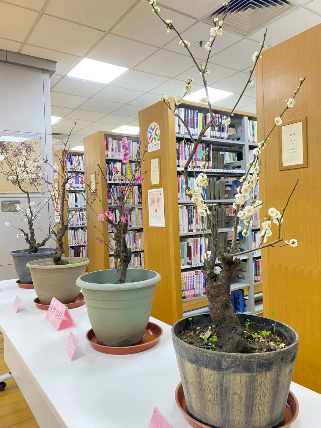 点赞!嘉定6家街镇图书馆获评“示范馆”(图3) 点赞!嘉定6家街镇图书馆获评“示范馆”(图3)