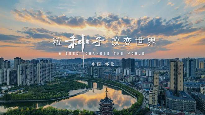 国家级荣誉！怀化这些集体和个人上榜(图2)