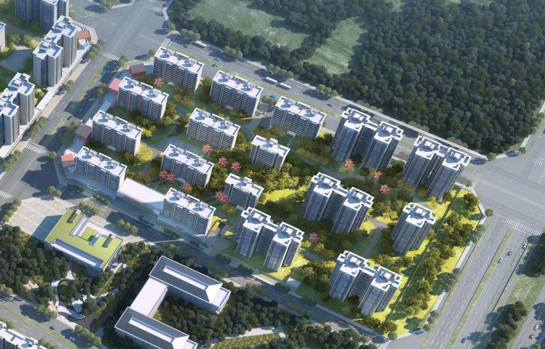 中建新锐吹响2024年劳动竞赛冲锋号
