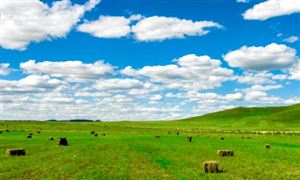 2024年中国建设工程行业的产业链上下游结构及市场发展现状(图2)