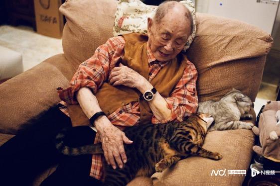 黄永玉艺术生命的最后一程:如此不拘法度、如此浓郁斑斓(图11) 黄永玉艺术生命的最后一程:如此不拘法度、如此浓郁斑斓(图11)