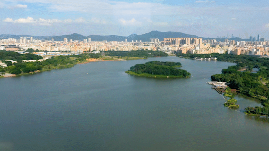 中建星光城)中建星光城官方售楼中心2024楼盘资讯直接认购(图12) 中建星光城)中建星光城官方售楼中心2024楼盘资讯直接认购(图12)