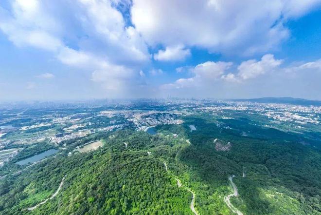 中建天河精诚壹号2024官方→中建天河精诚壹号值得买吗？一文读懂(图13)