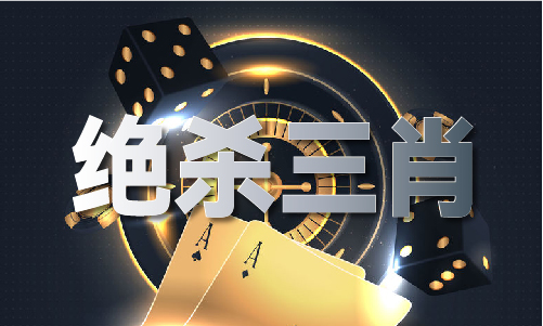 澳门49719V