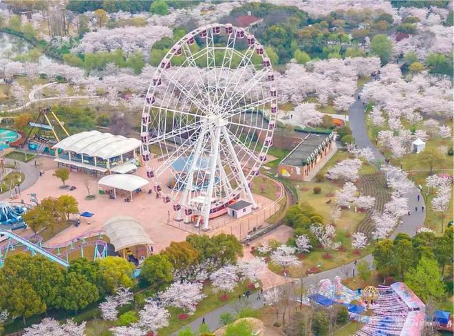 中建山水雅境(2024)官方网站-宝山中建山水雅境楼盘详情-户型配套(图23) 中建山水雅境(2024)官方网站-宝山中建山水雅境楼盘详情-户型配套(图23)