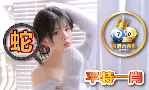 王中王资料免一费大全（中国）官方网站IOS安卓手机APP安装
