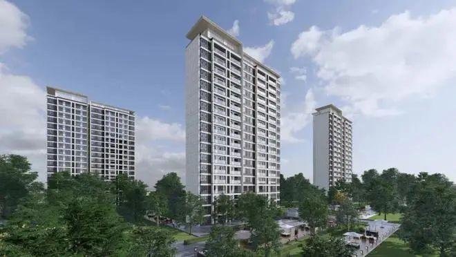 『中建玖里书香』官方网站-玖里书香-户型配套-2024最新价格(图9) 『中建玖里书香』官方网站-玖里书香-户型配套-2024最新价格(图9)