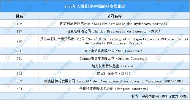 2024年喀麦隆投资环境深度分析及中资企业在喀麦隆投资合作策略(图5)
