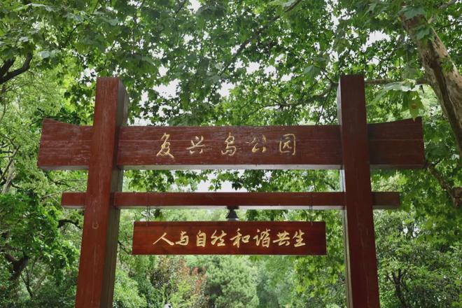 上海的沧海遗珠(图4)