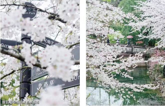 中建虹悦里（2024官方网站）-中建虹悦里-优惠折扣(图19)