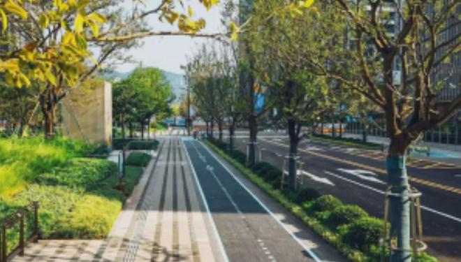 2024官方认证-深圳〖自贸湾啟紫荆〗售楼处欢迎您-内附图文解析(图14)
