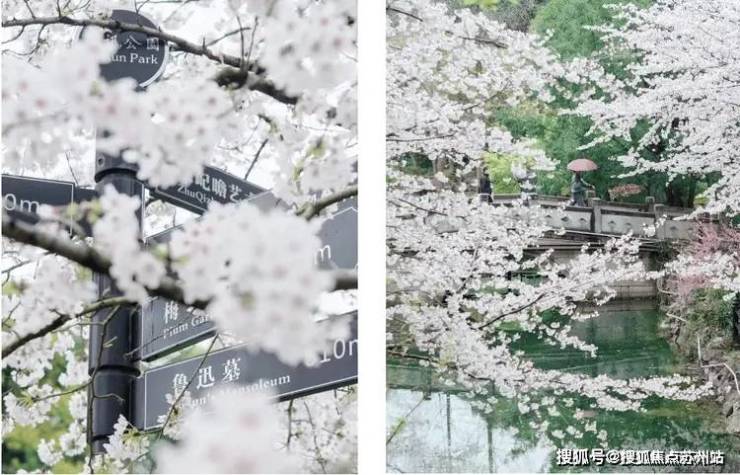 中建虹悦里(售楼中心)首页网站-​中建虹悦里欢迎您丨​户型配套样板间价格(图19)