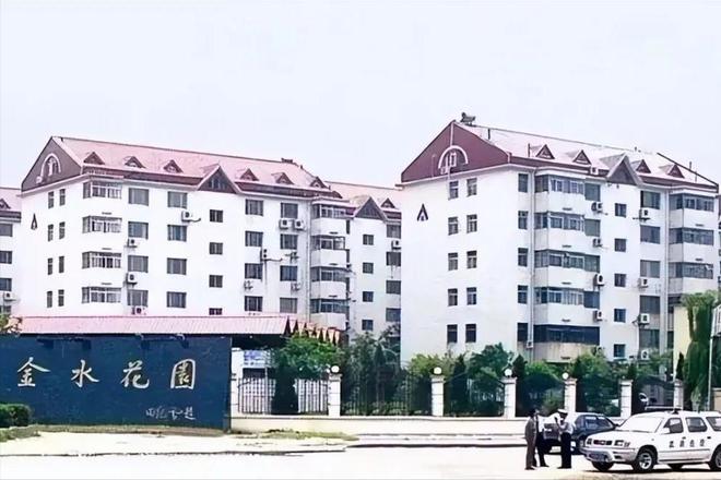 千亿规模却被一场暴雨冲垮胡葆森的建业究竟为何暴雷(图2)