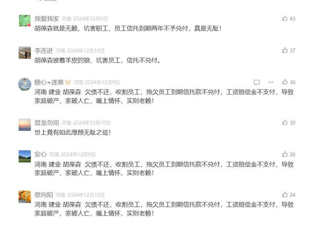 千亿规模却被一场暴雨冲垮胡葆森的建业究竟为何暴雷(图22)