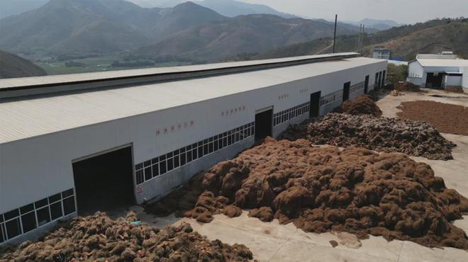 喜报!大自然床垫再获双奖彰显民族品牌乡村振兴担当(图4) 喜报!大自然床垫再获双奖彰显民族品牌乡村振兴担当(图4)