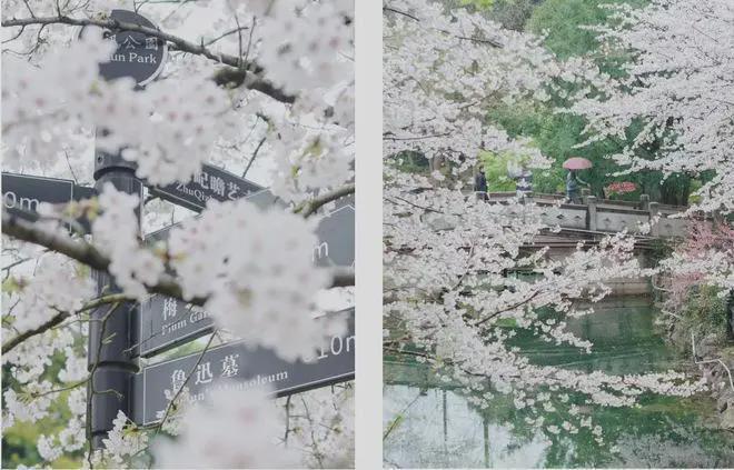 中建虹悦里2025官方网站-中建·虹悦里+户型配套+房价+楼盘测评(图6) 中建虹悦里2025官方网站-中建·虹悦里+户型配套+房价+楼盘测评(图6)